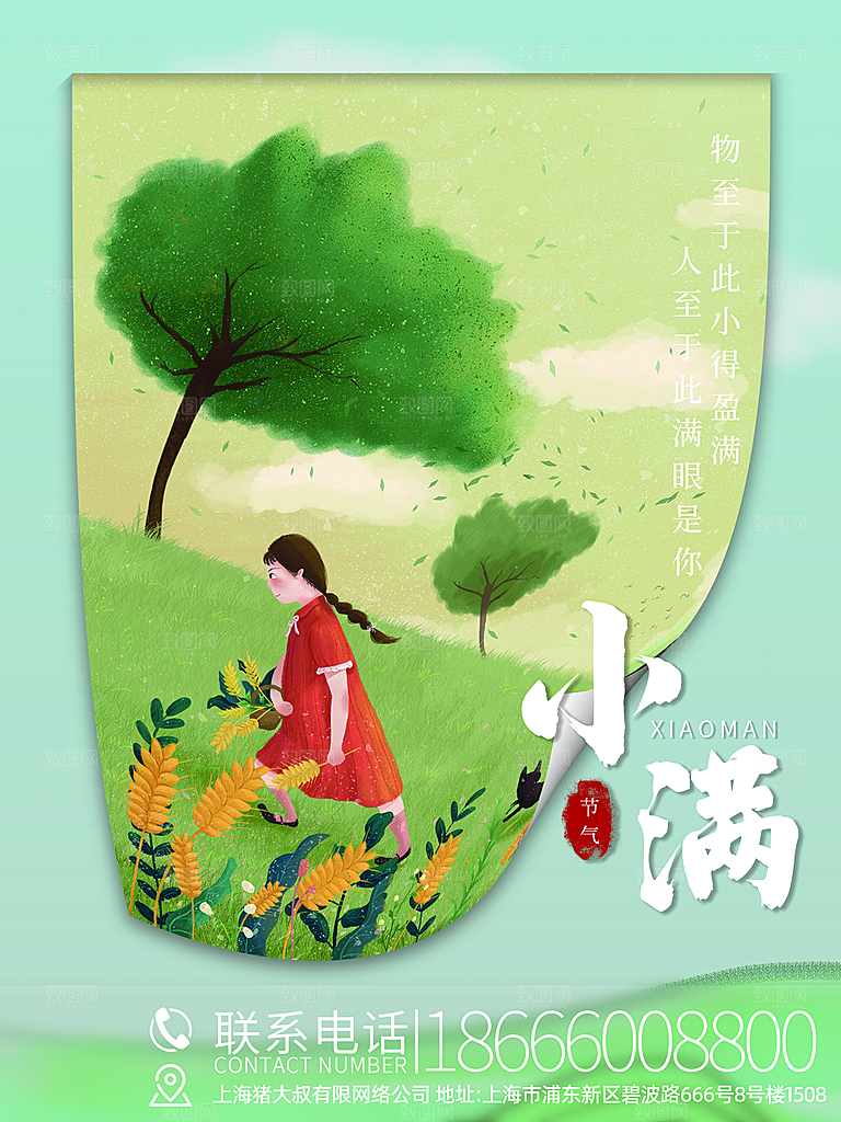传统节气小满海报模板