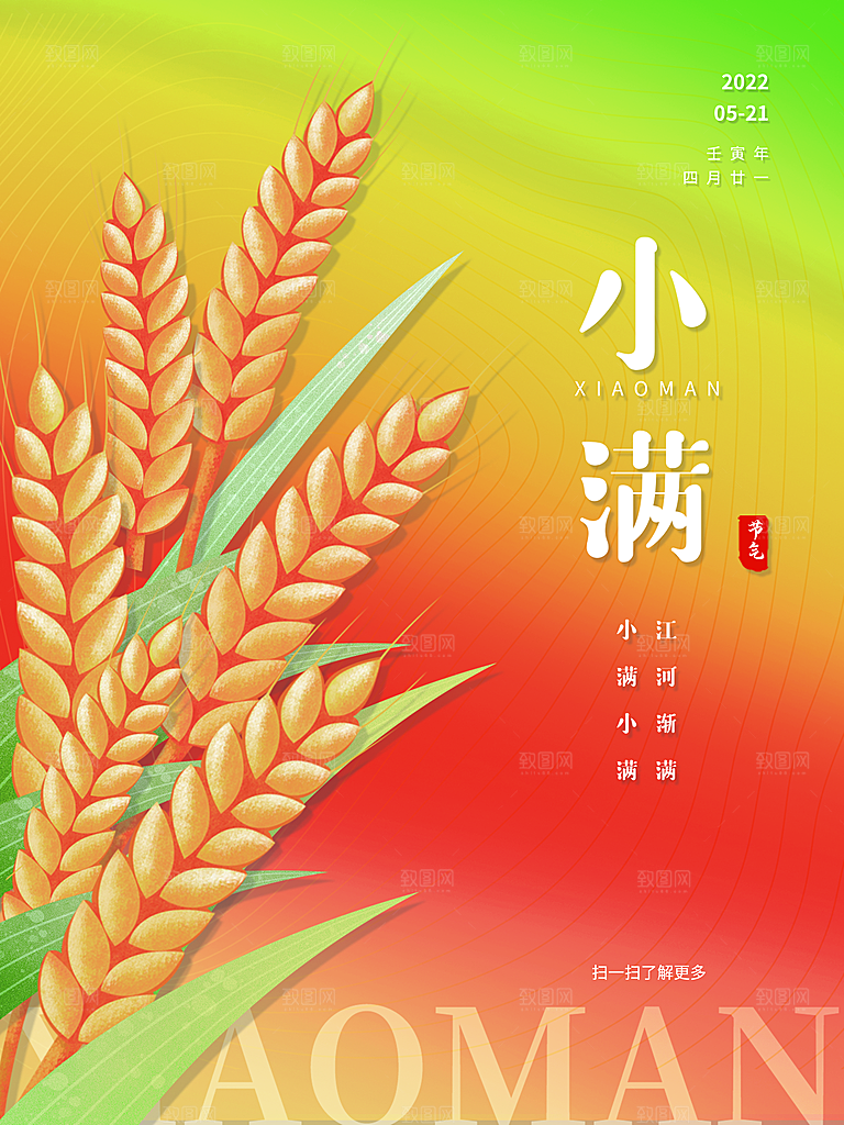 小满节气简约大气海报