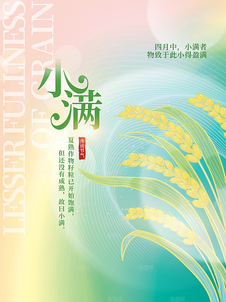 小满节气简约大气海报