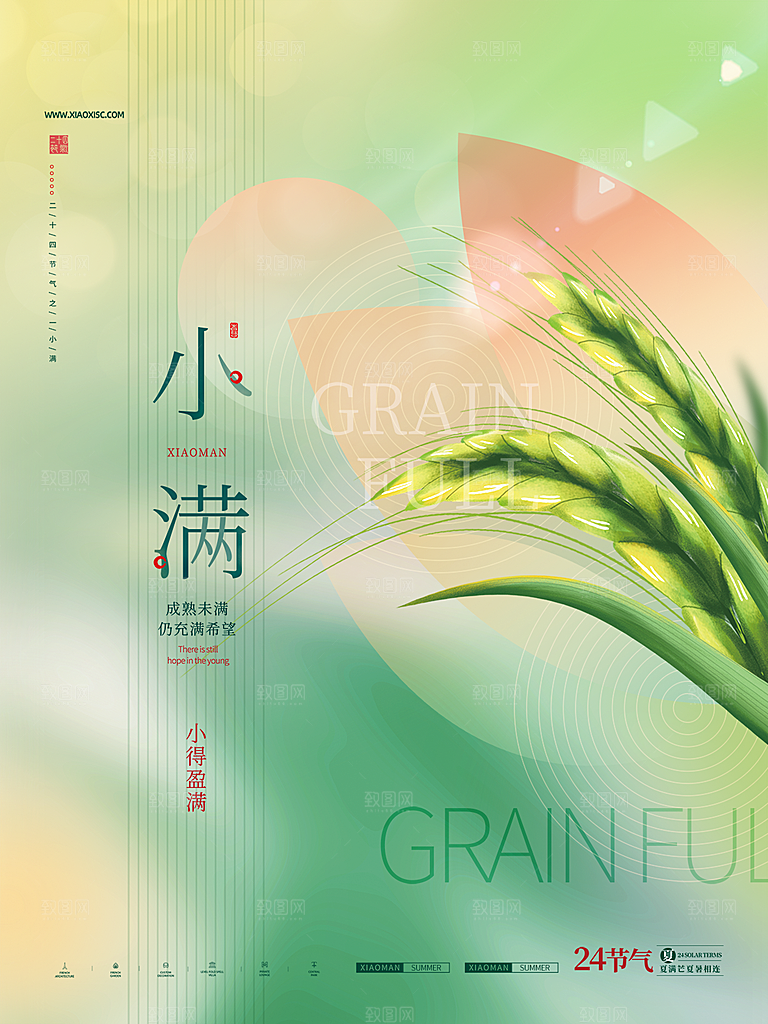 小满节气简约大气海报