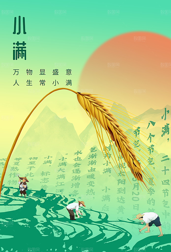 传统节气小满海报模板