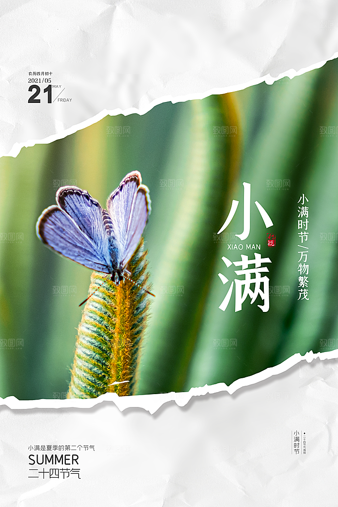 传统节气小满海报模板