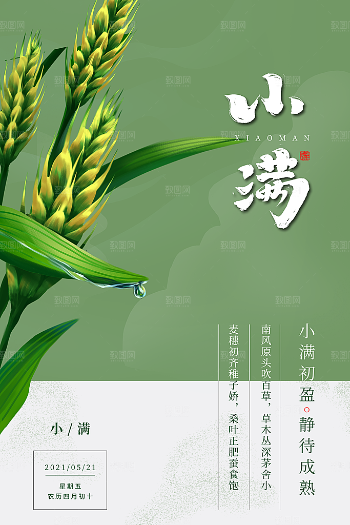 传统节气小满海报模板