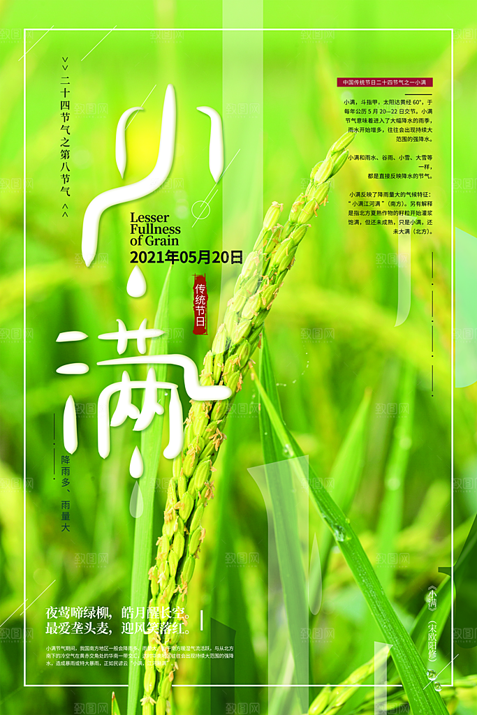 传统节气小满海报模板