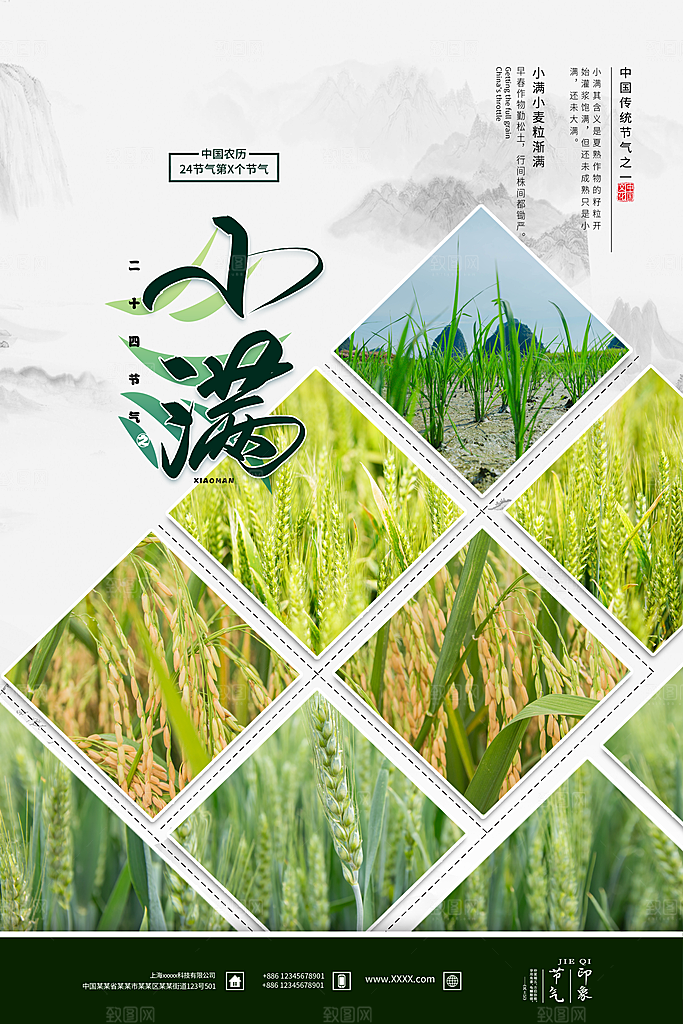 小满节气简约大气海报