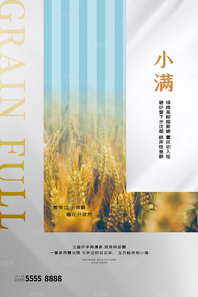 小满节气简约大气海报