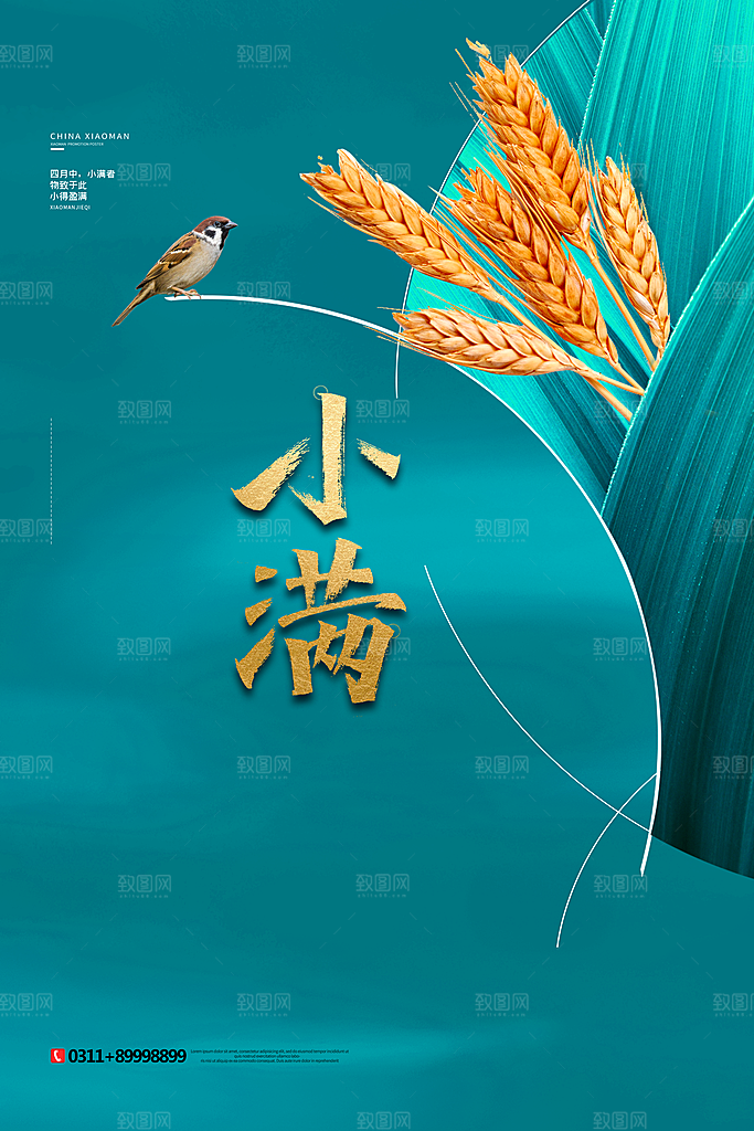 小满节气简约大气海报