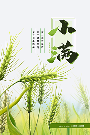 小满节气简约大气海报