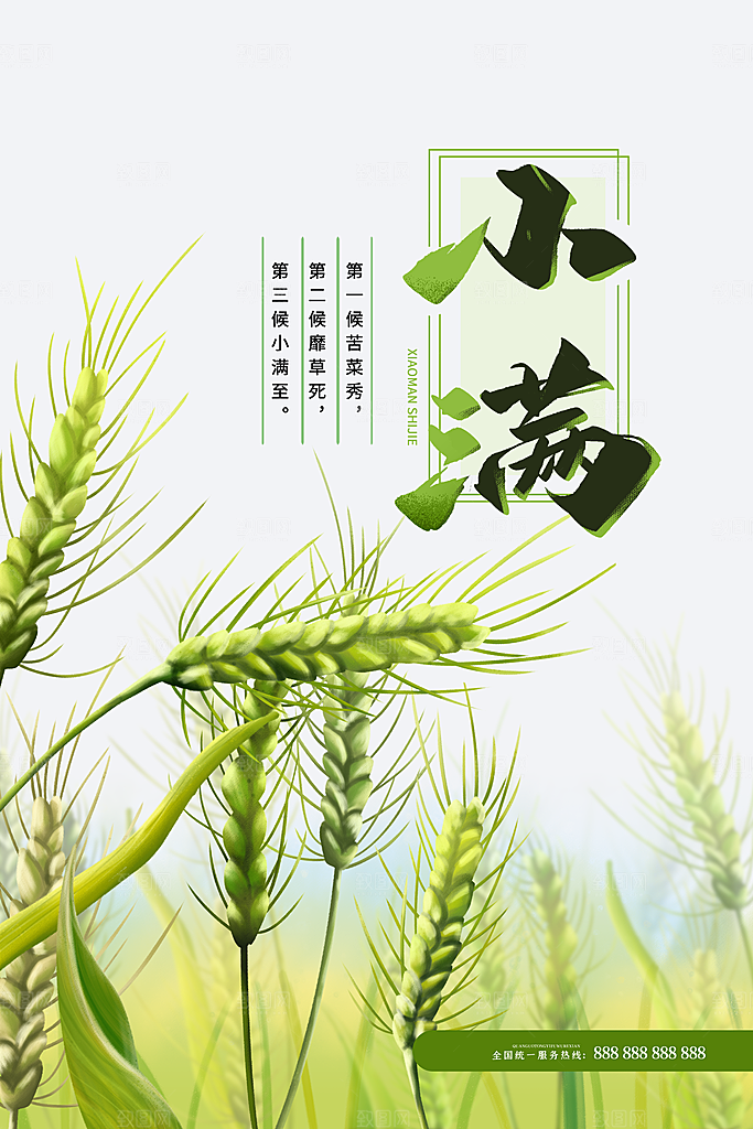 小满节气简约大气海报