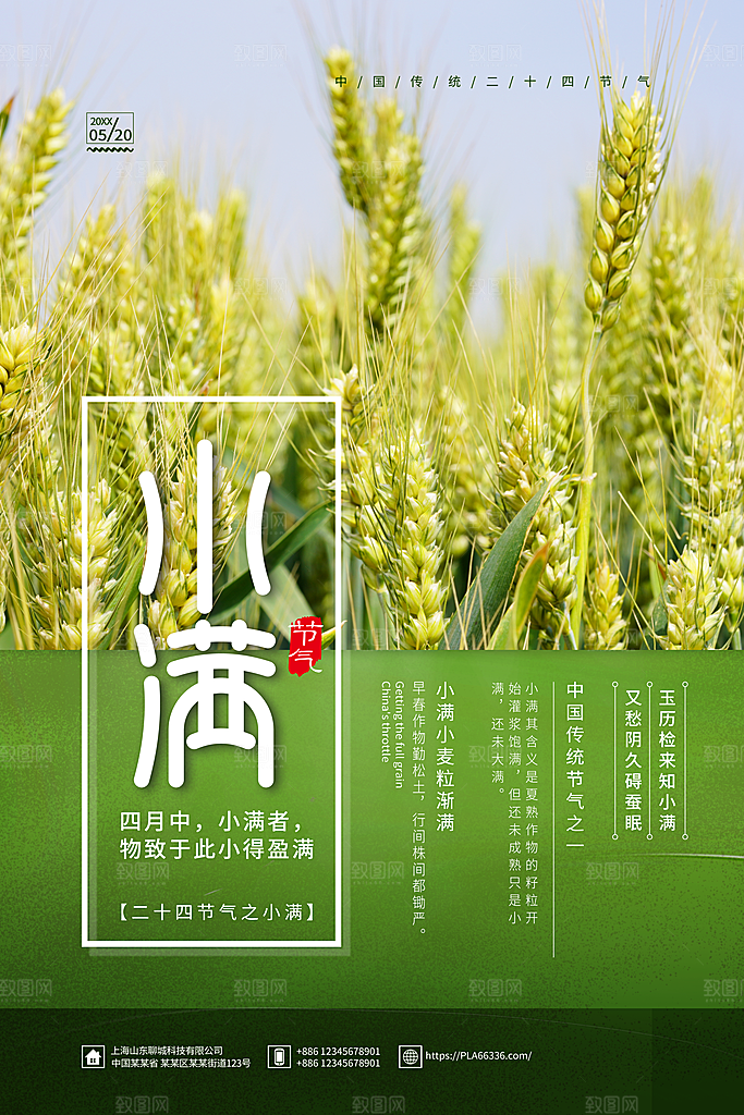 小满节气简约大气海报
