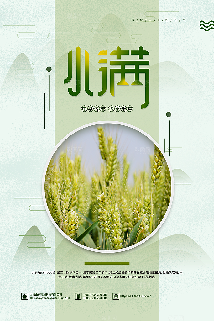 小满节气简约大气海报