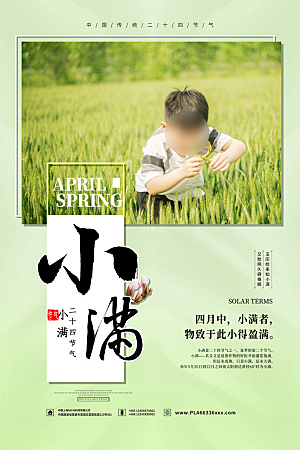 小满节气简约大气海报