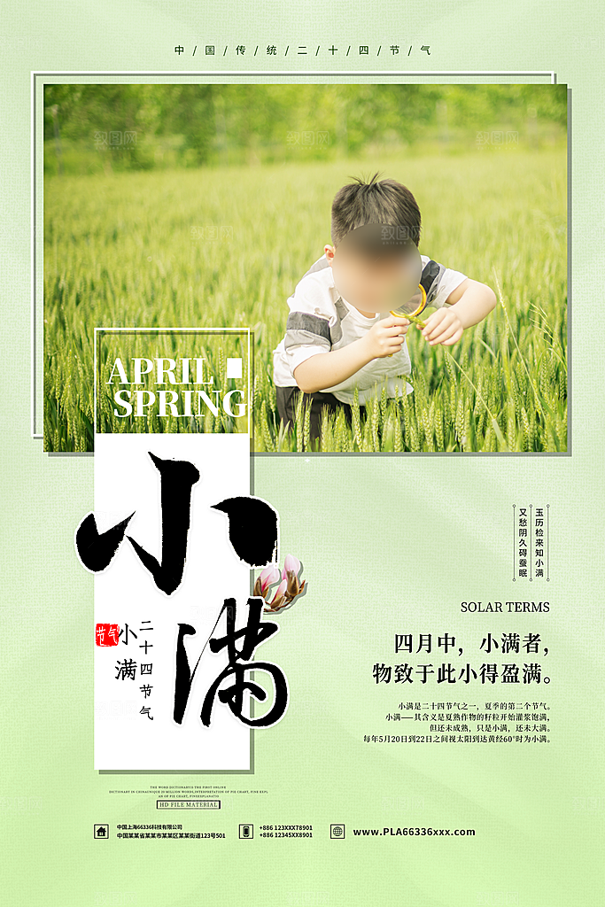 小满节气简约大气海报