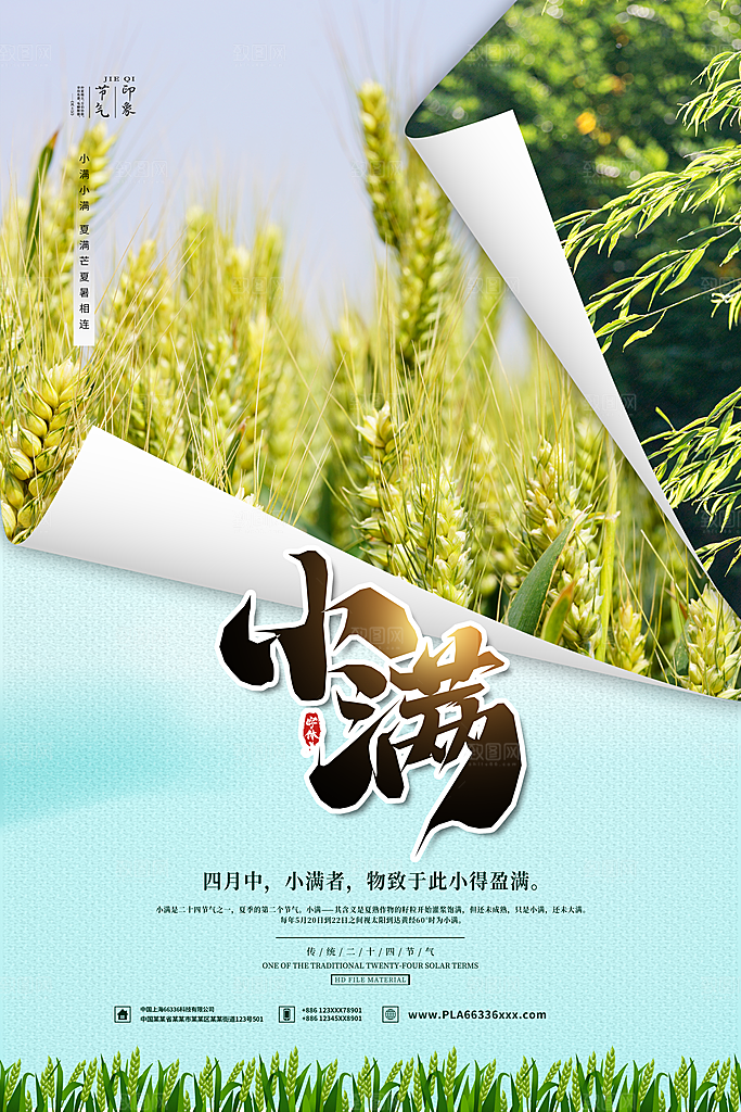 小满节气简约大气海报