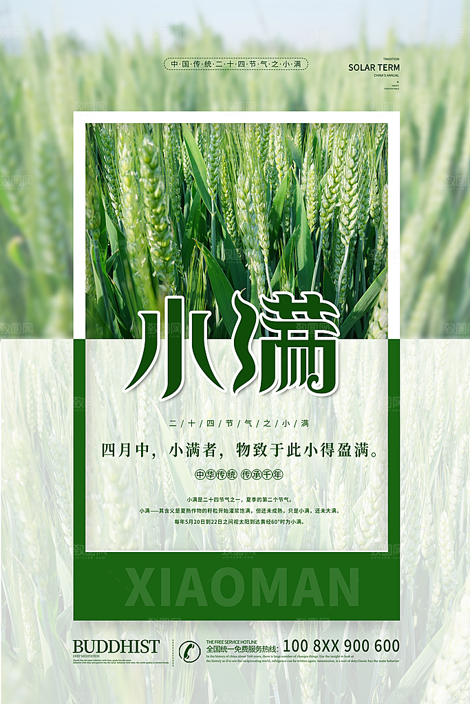 传统节气小满海报模板