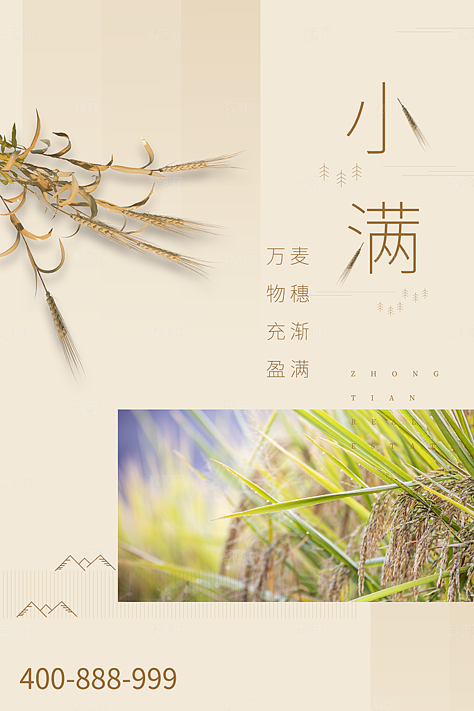 传统节气小满海报模板