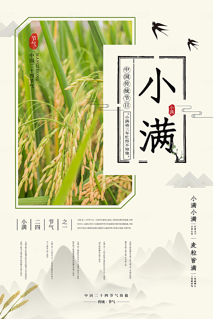 小满节气简约大气海报