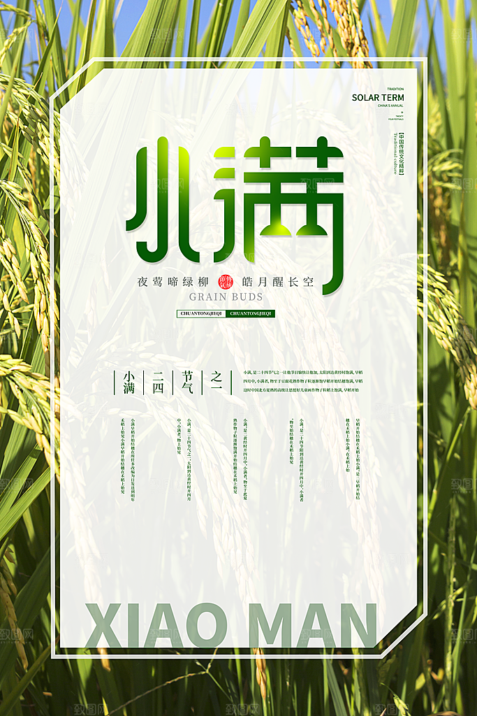 小满节气简约大气海报