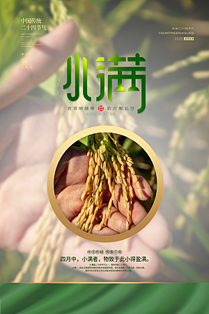 小满节气简约大气海报