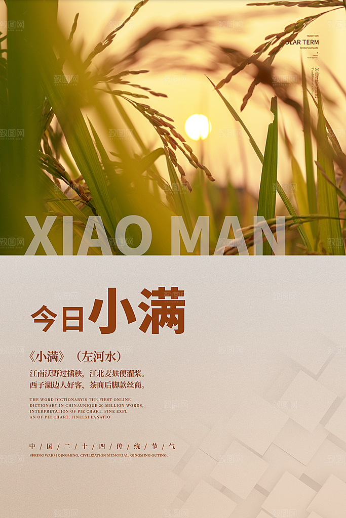 小满节气简约大气海报