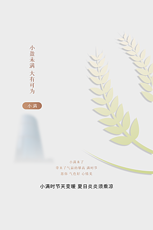 传统节气小满海报模板