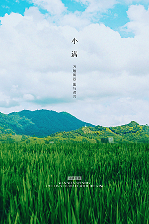 传统节气小满海报模板