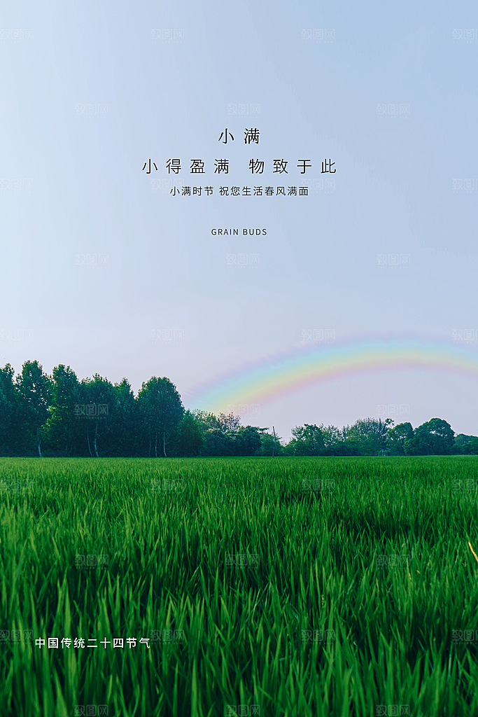 传统节气小满海报模板