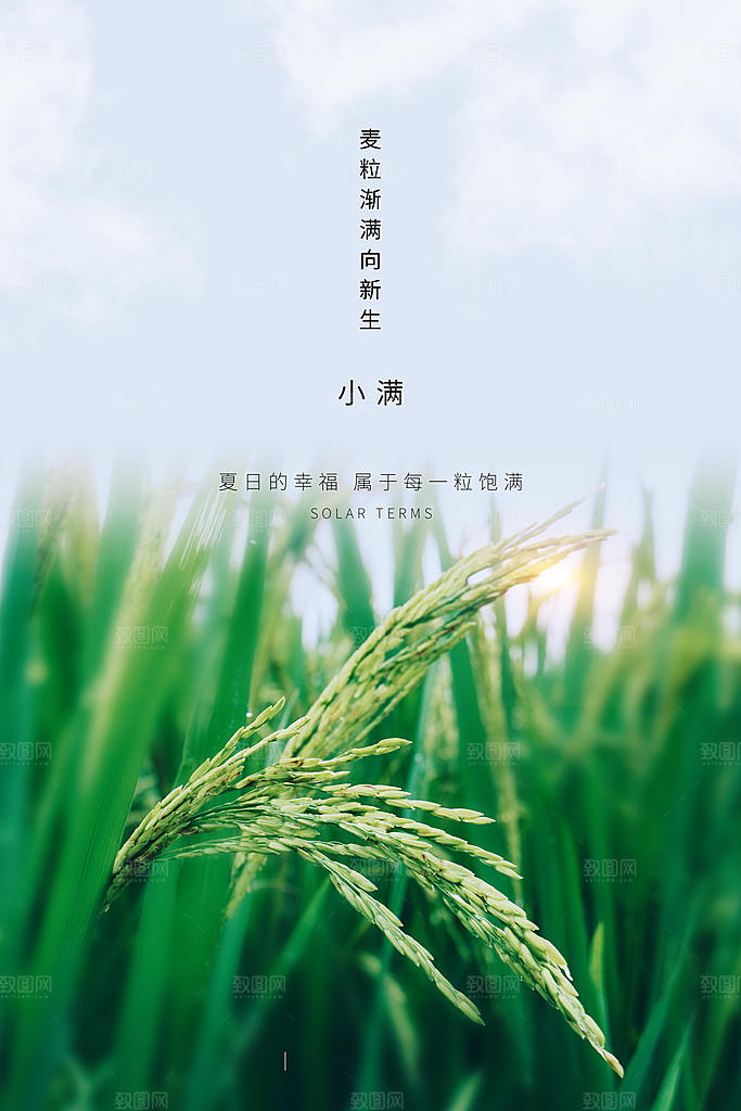 传统节气小满海报模板