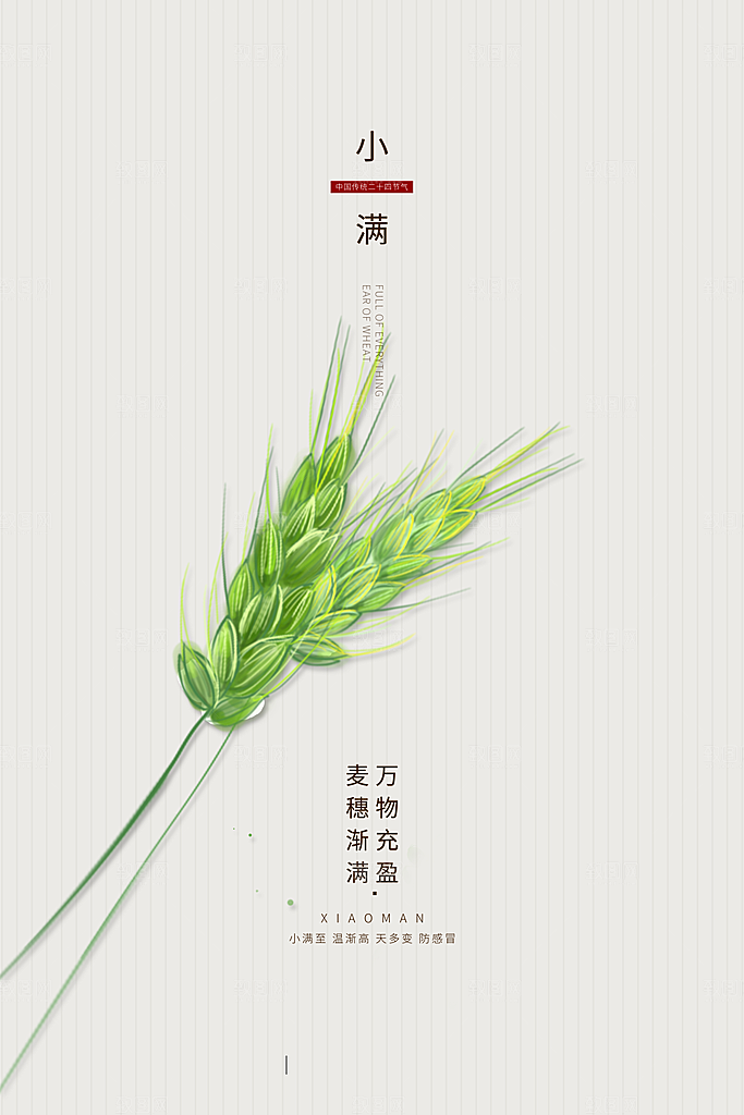 传统节气小满海报模板