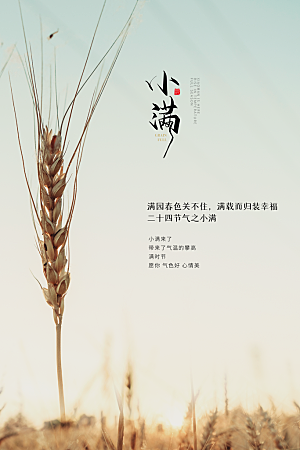 传统节气小满海报模板