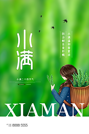 小满节气简约大气海报