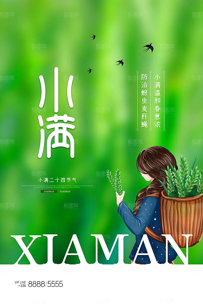 小满节气简约大气海报