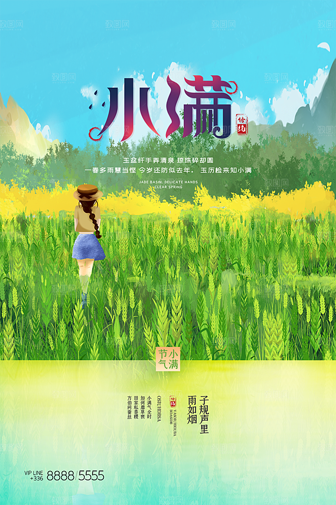 小满节气简约大气海报