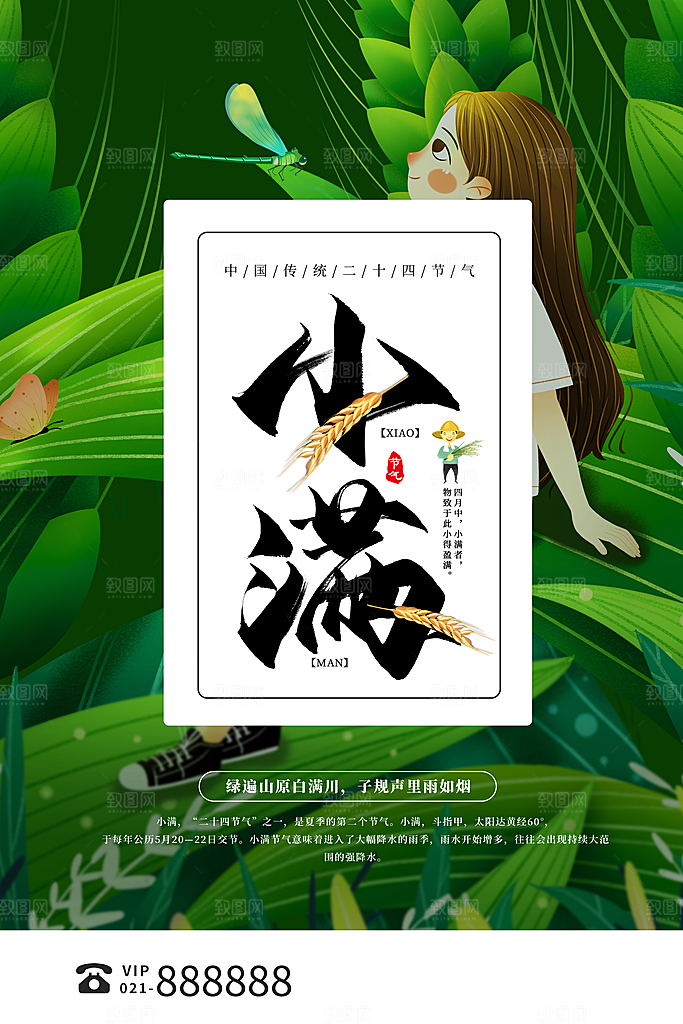 小满节气简约大气海报