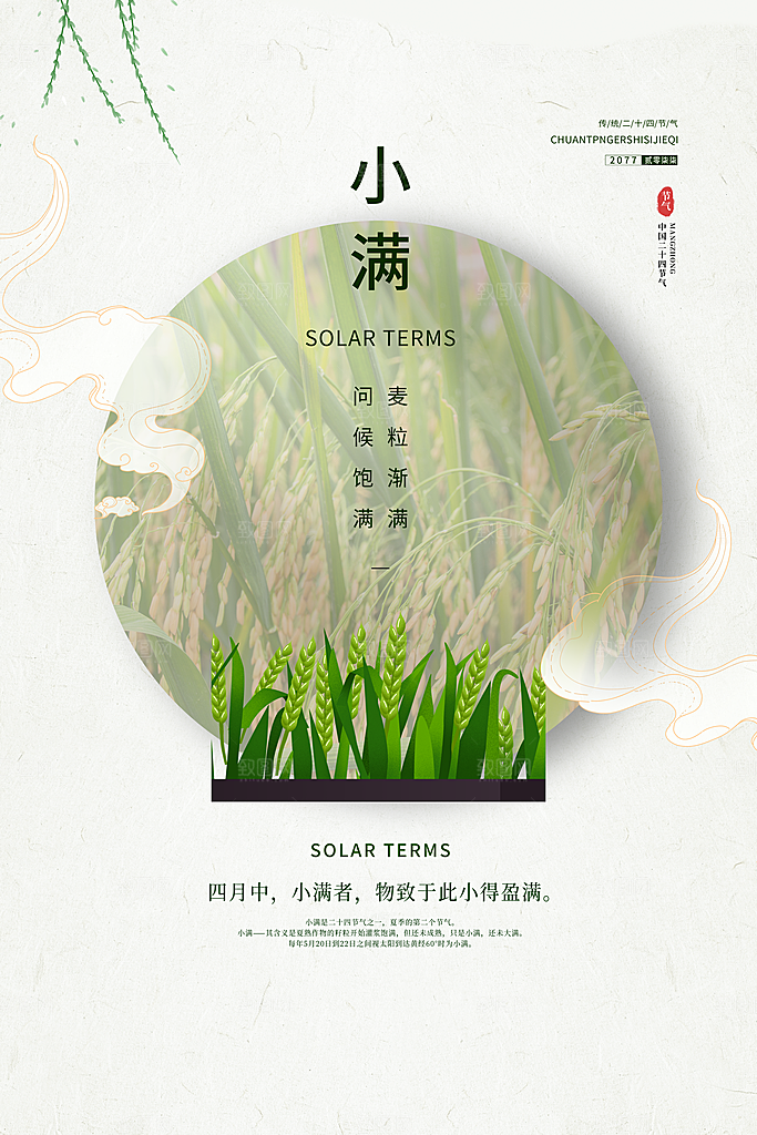 小满节气简约大气海报