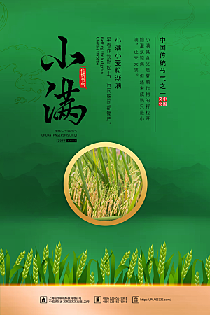 小满节气简约大气海报