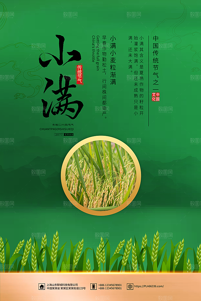 小满节气简约大气海报