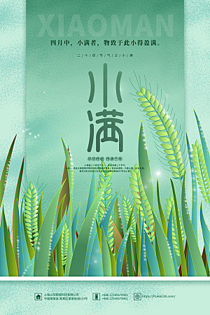 小满节气简约大气海报