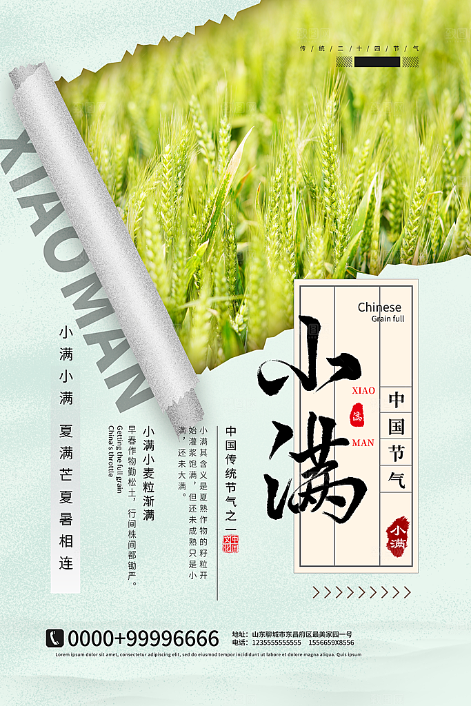 小满节气简约大气海报