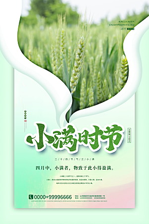 小满节气简约大气海报