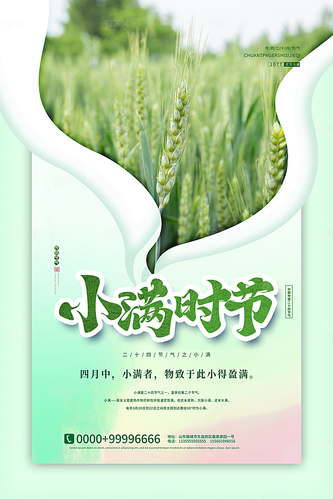小满节气简约大气海报