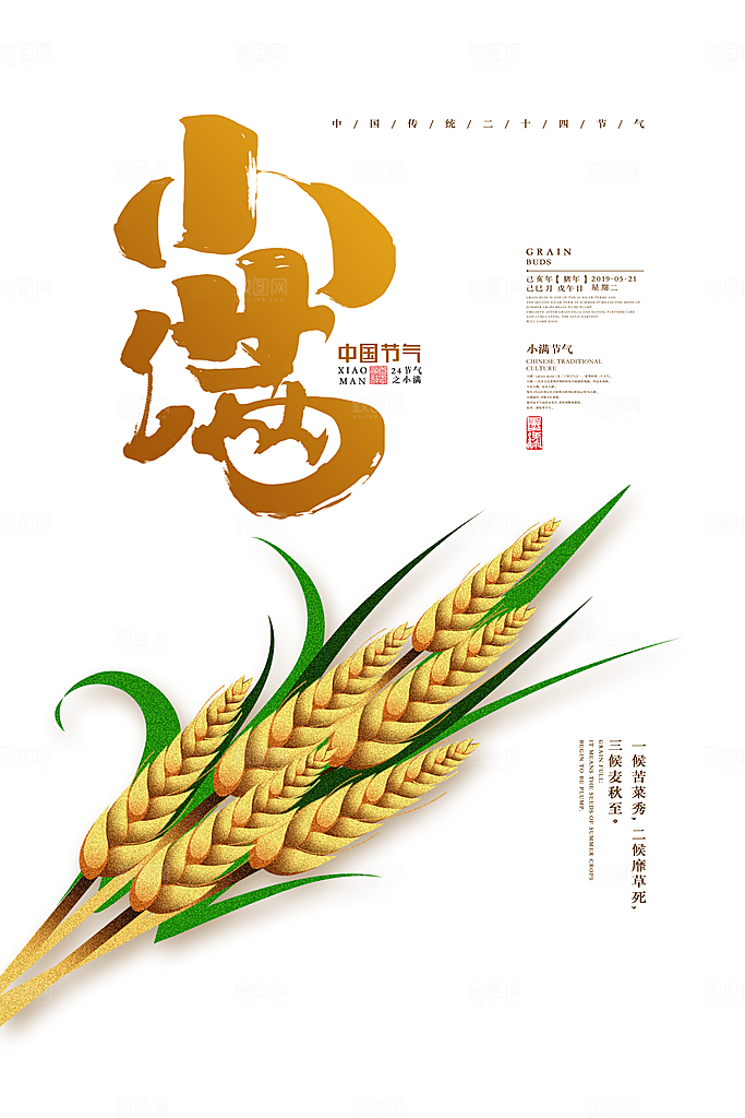 小满节气简约大气海报
