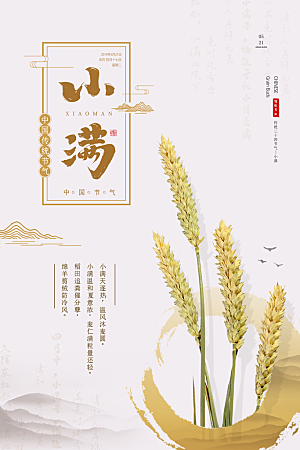 小满节气简约大气海报