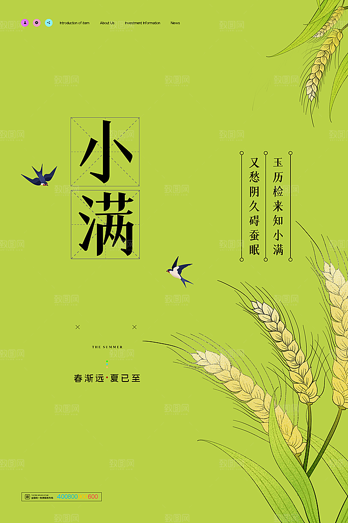 传统节气小满海报模板