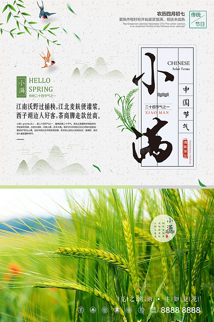 传统节气小满海报模板