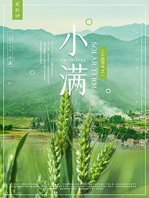 传统节气小满海报模板
