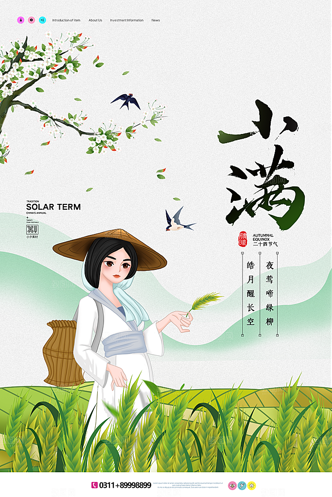 小满节气简约大气海报