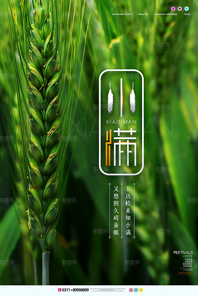 小满节气简约大气海报
