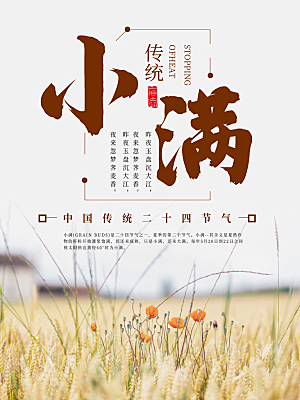 小满节气简约大气海报