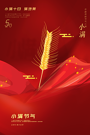 小满节气简约大气海报